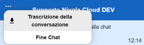 ../_images/100.35_Chat5.png